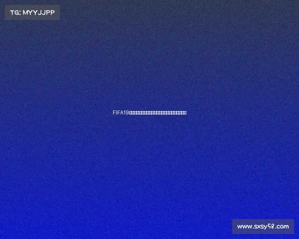 FIFA19离线版世界杯补丁完整安装教程与使用体验分享攻略